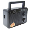 Радиоприемник EPE FP-1603 black-2