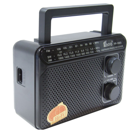 Радиоприемник EPE FP-1603 black-2