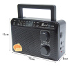 Радиоприемник EPE FP-1603 black