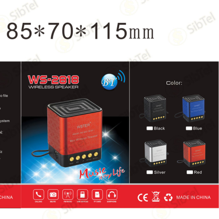WS2818