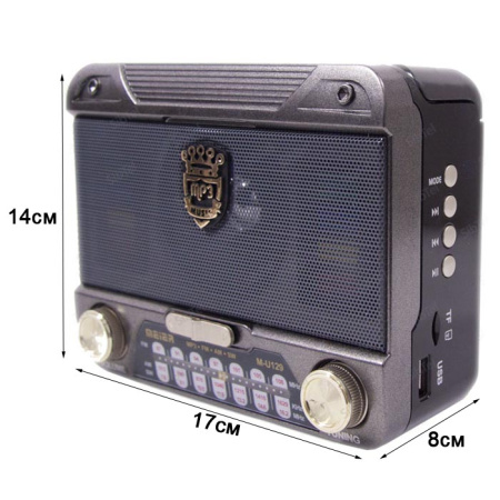 Радиоприемник MEIER M-U129 black-1