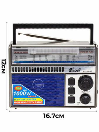 FP-308BT BL 1