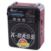 Радиоприемник EPE FP-1322U red-1