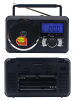 FP920RCbrc2