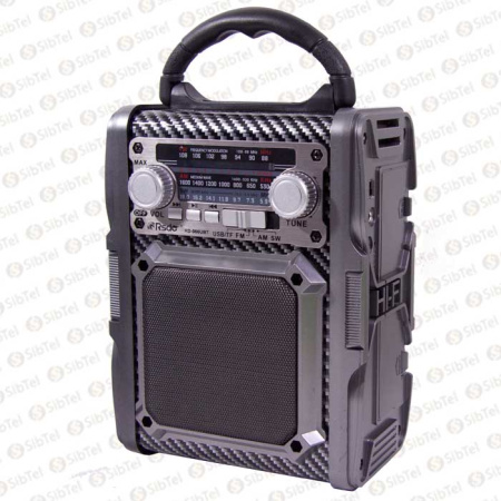 Радиоприемник RSDO RD-066U  gray carbon