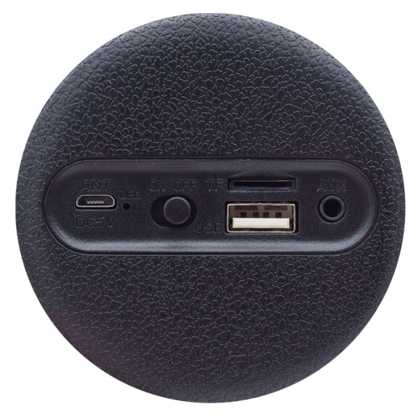 Колонка портативная Wster WS-1838