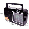 Радиоприемник EPE FP-1820R black