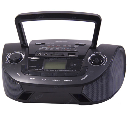 Радиоприемник EPE FP-201R black